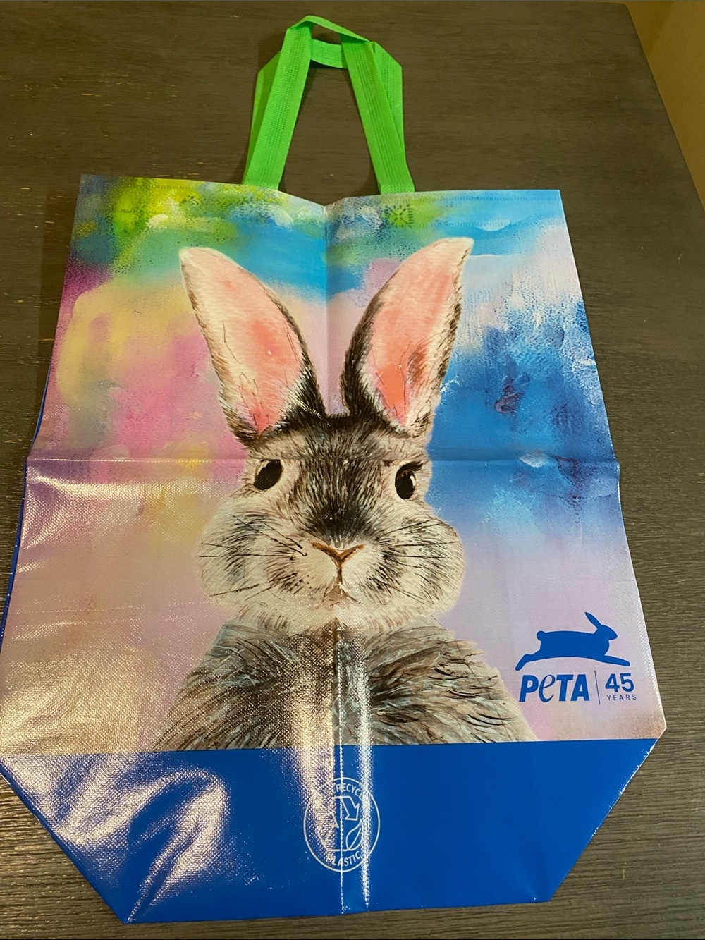 45th Anniversary Bunny Tote Bag in Multicolor with Green Handles